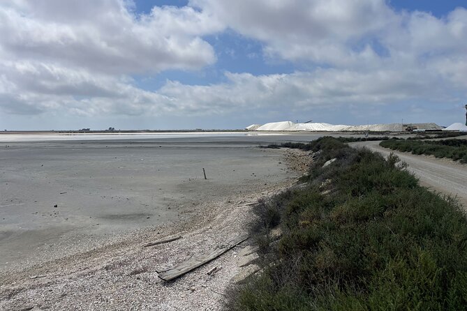 8 Hours Visit to the Camargue and the Salins D'Aigues-Mortes - Itinerary Overview