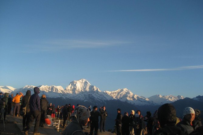 9 Days Short and Easy Ghorepani Poonhill Trekking in Nepal - Meal Plan