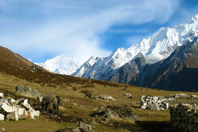 9 Days West Langtang Valley Tamang Heritage Trek - Daily Itinerary Highlights