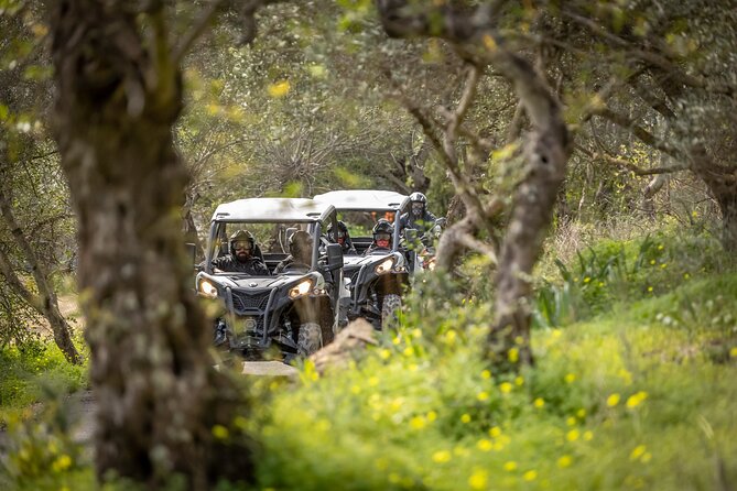 90-Minute Buggy or Quad Tour in the Algarve - Reviews and Ratings