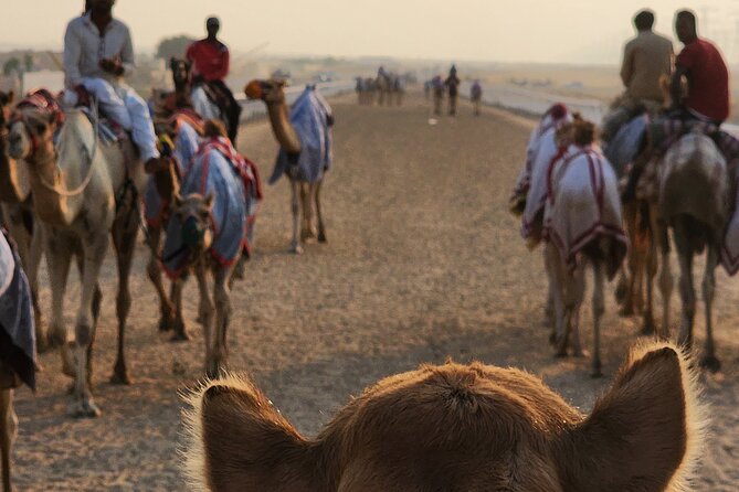 90 Minutes Guided Cultural Camel Riding in Dubai - Cancellation Policy