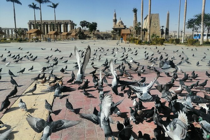 A Full Day Tour to Explore Luxor Monuments - Detailed Monument Descriptions