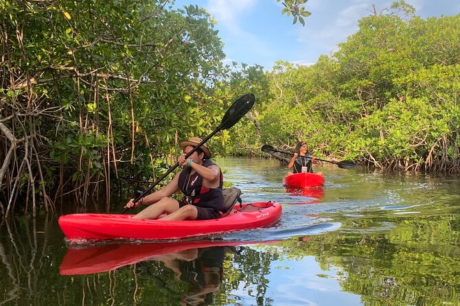 A Private Half-Day Kayaking Experience in Nichupté Lagoon  - Cancun - Private Guided Kayaking Excursion Details