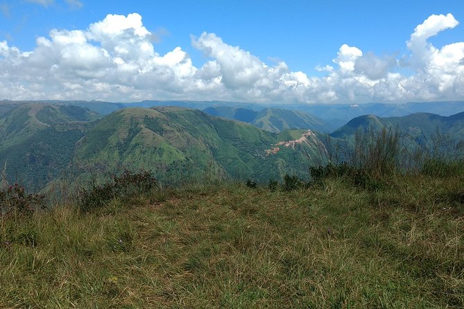 A Walk in the Clouds - Walking Holiday in Khasi Hills, Meghalaya, India - Wildlife Spotting at Pobitora