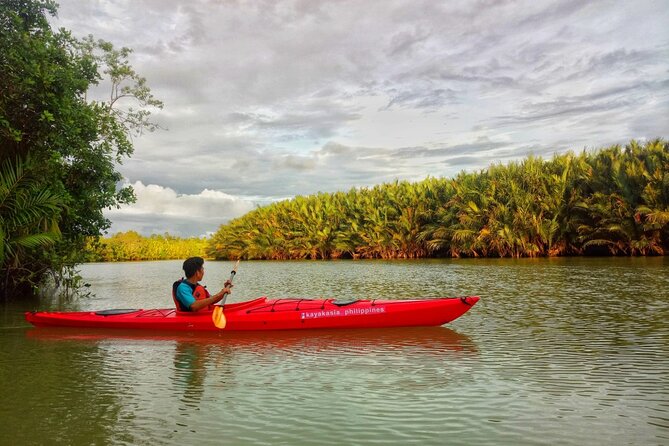 Abatan River Firefly Kayak Trip With Dinner and Transfers  - Tagbilaran City - Weather and Location Considerations