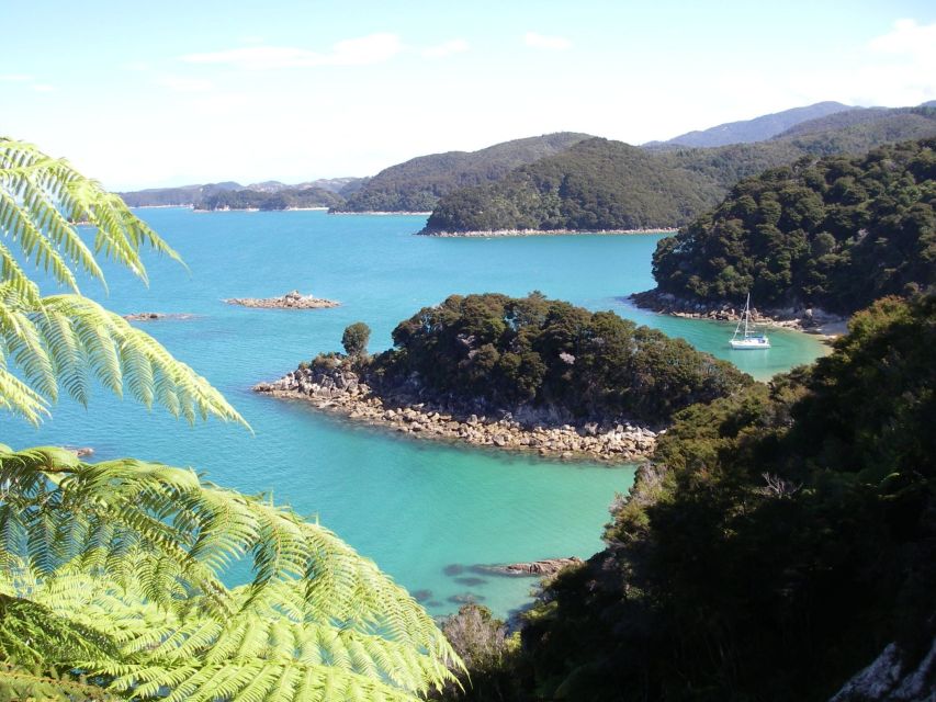 Abel Tasman National Park: Sailing and Self-Guided Walk - Experience Highlights