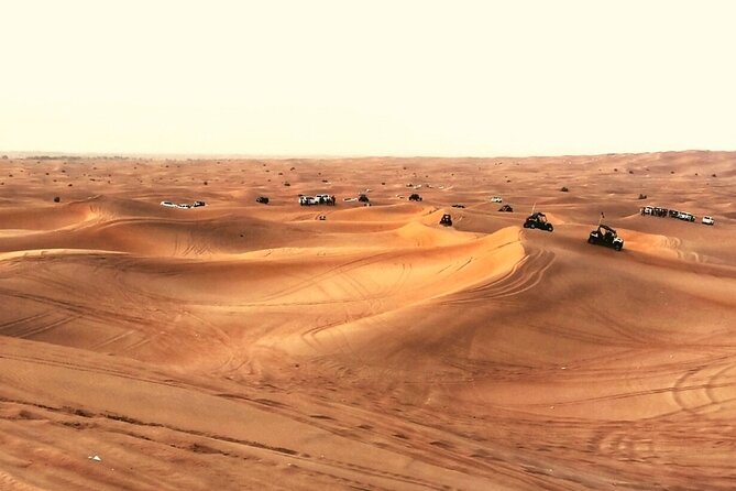 Abu Dhabi Bedouin Desert Camp - Desert Camping in Abu Dhabi - Activities Offered in the Desert