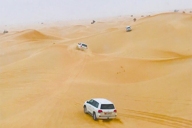 Abu Dhabi City Tour and Desert Safari - Top Attractions in Abu Dhabi