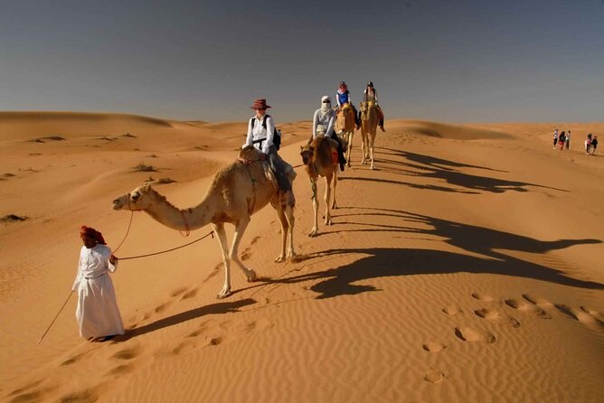 Abu Dhabi Desert Safari Dune Bashing,Came,Belly Dance & BBQ - Indulge in a Delicious BBQ Dinner