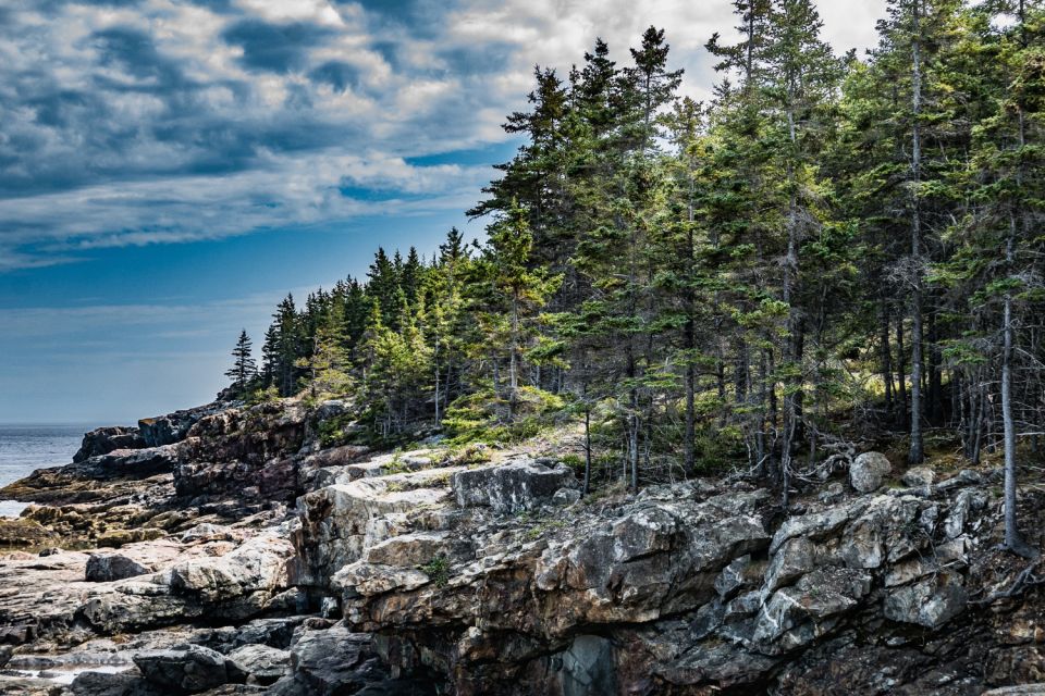 Acadia: Mount Desert Island Self-Guided Driving Tour - Highlights and Exploration