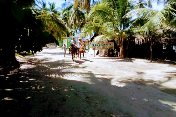 Acapulco Beach Horseback Riding Tour With Baby Turtle Release - Expert Guidance and Logistics
