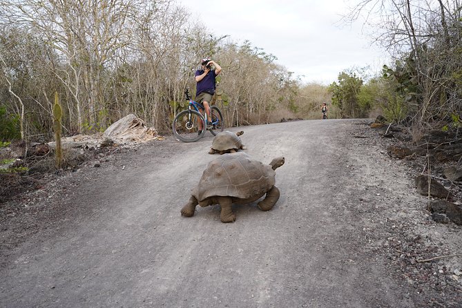 Active Galapagos Island Tour 10 Days - Accommodation Details