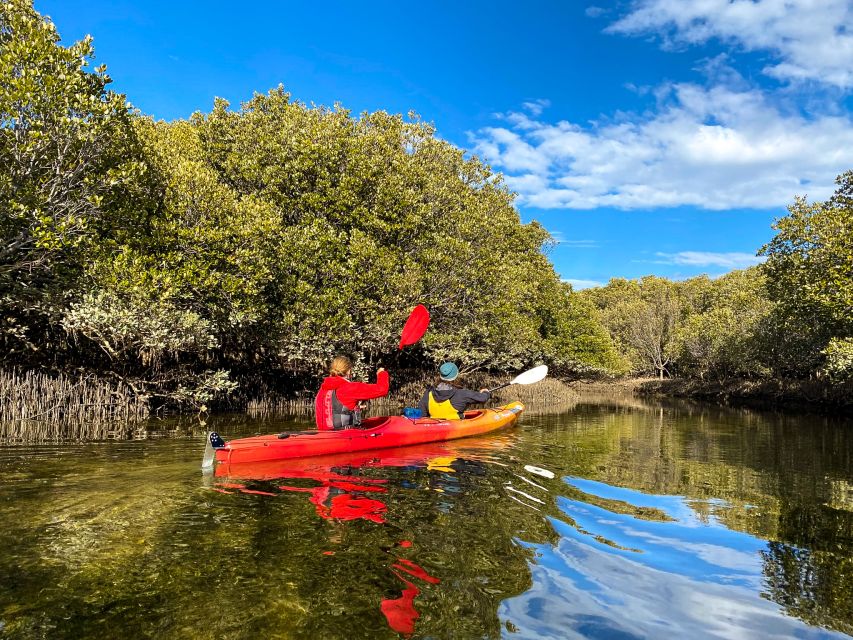 Adelaide: Dolphin Sanctuary 1 or 2-Person Kayak Rental - Rental Options