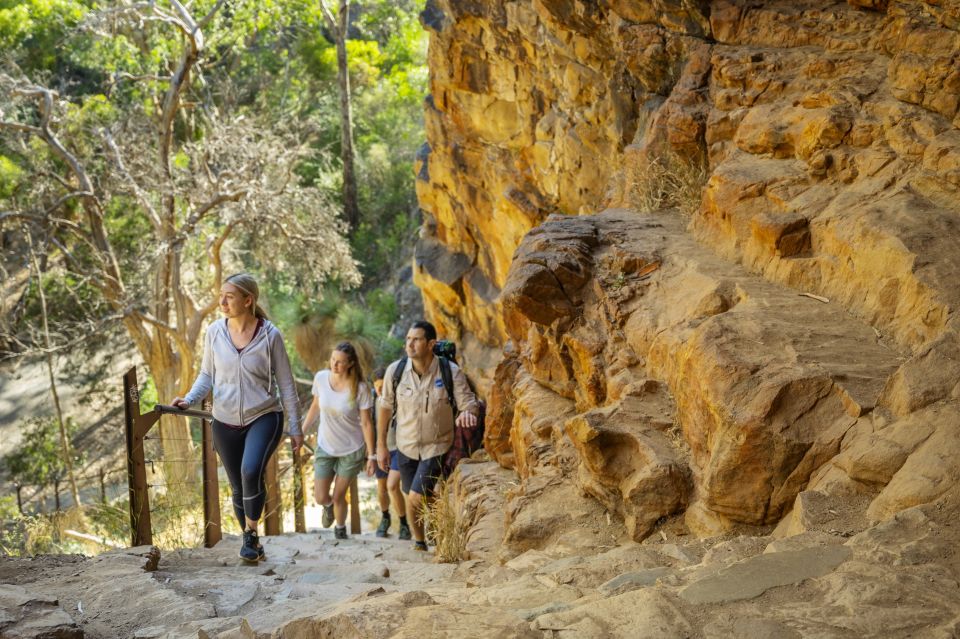 Adelaide: Morialta Wilderness and Wildlife Hike - Activity Description