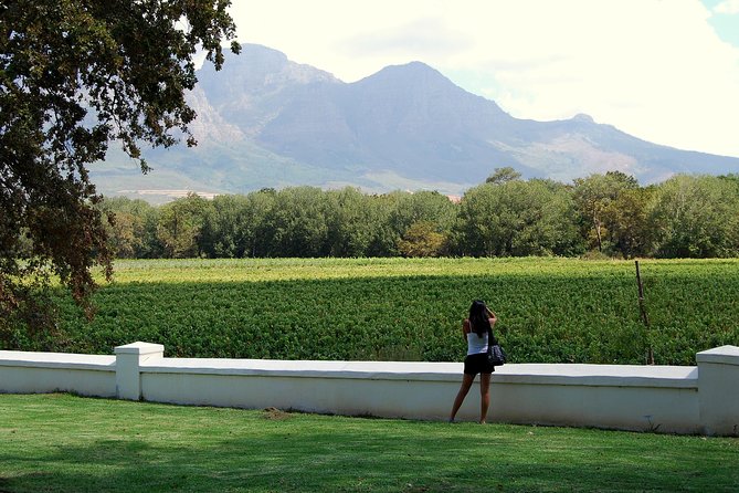 African Story Wine Tours in the Cape Winelands - Customer Feedback and Reviews