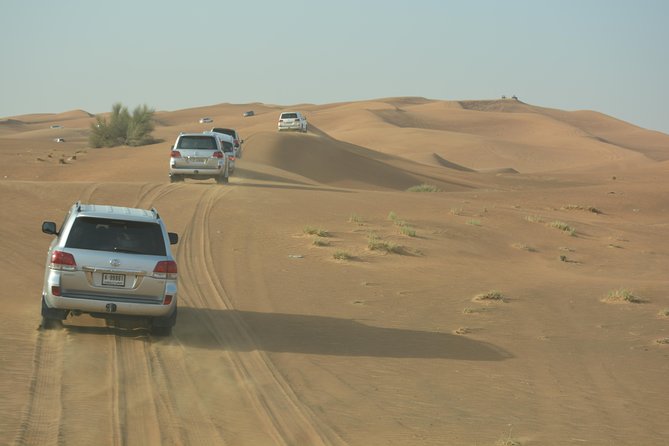 Afternoon Desert Safari With BBQ Dinner - Pricing