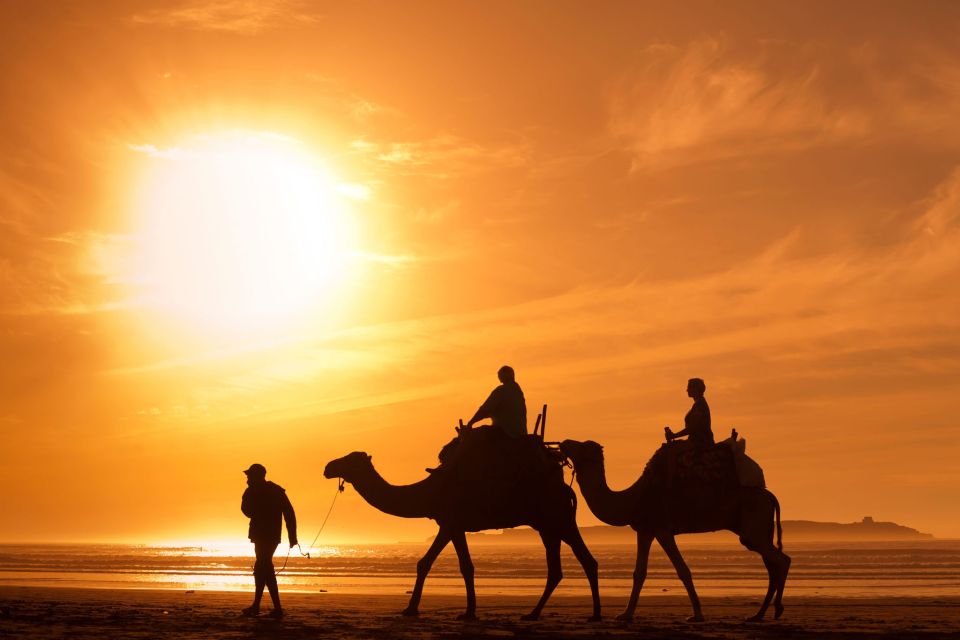 Agadir: Sunset Camel Ride With Dinner - Camel Ride Overview