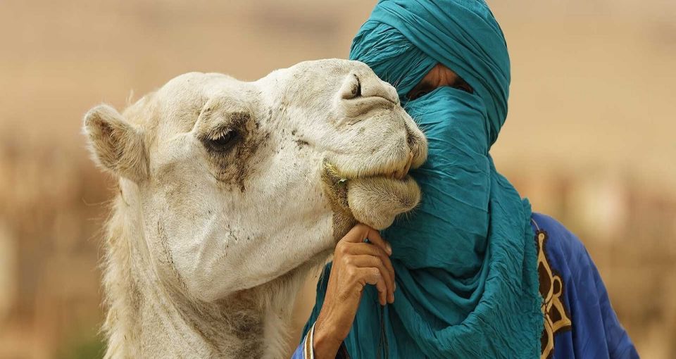 Agafay Desert Sunset Camel Ride Half Day Tour From Marrakech - Experience Highlights
