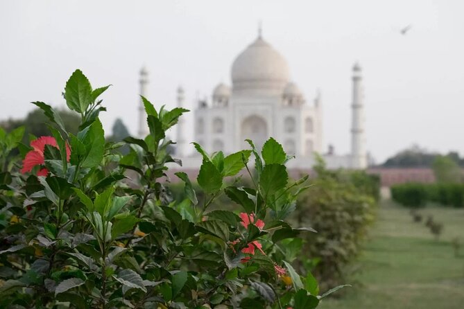 Agra Full-Day Private Tour by A/C Car With Lunch From Delhi  - Uttar Pradesh - Comprehensive Tour Overview