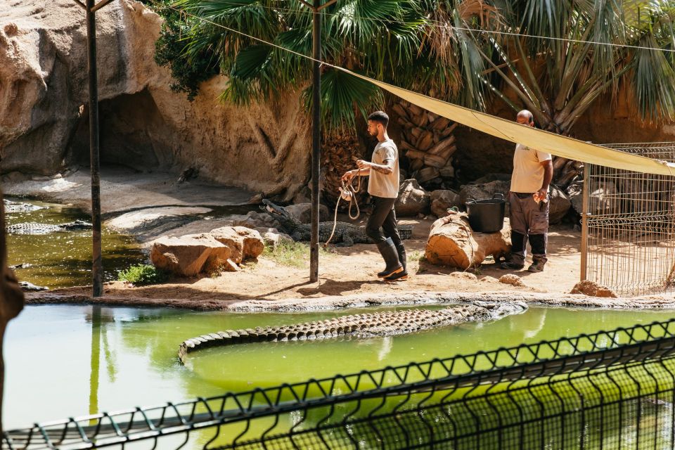 Agüimes: Cocodrilo Park Zoo Entry Ticket - Activity Overview and Features