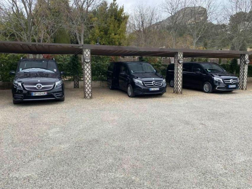 Aigues-Mortes: Private Transfer to Marseille Airport - Experience Highlights