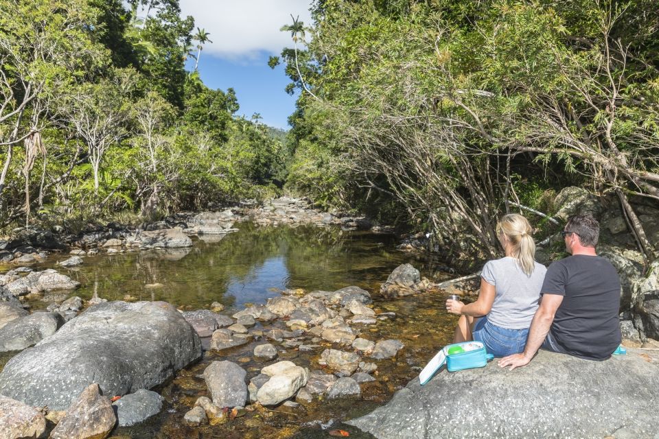 Airlie Beach: Segway Rainforest Discovery Tour - Tour Highlights