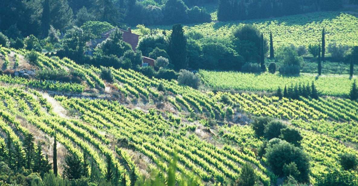 Aix-en-Provence: Half Day Wine Tour in Bandol and Cassis - Multilingual Live Tour Guide Available