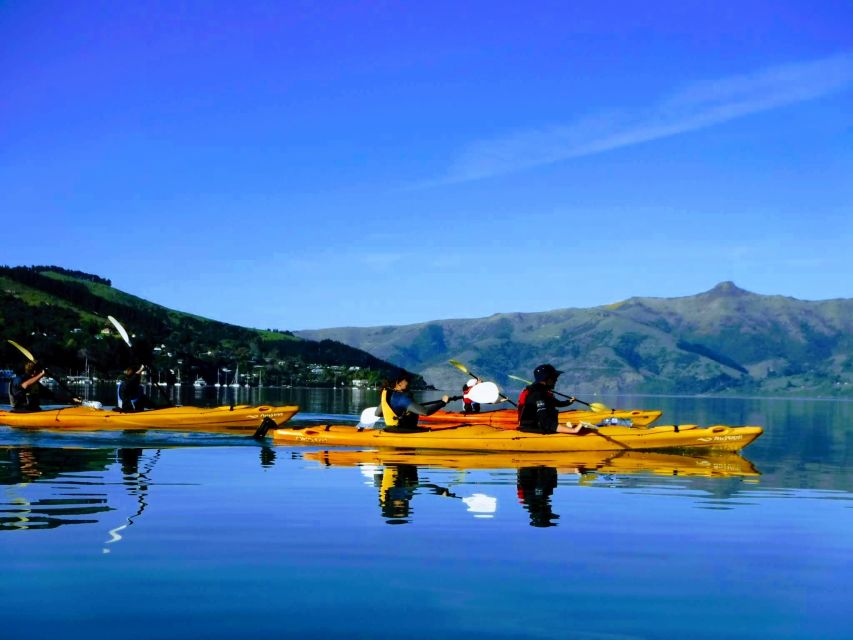 Akaroa: Electric Mountain Bike and Sea Kayak Adventure - Experience Highlights