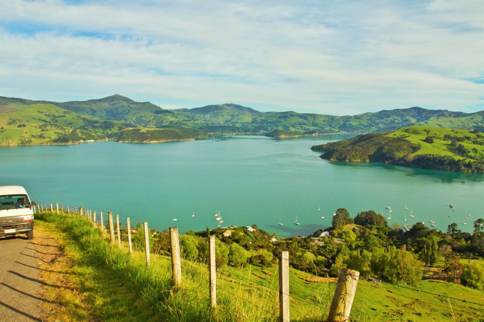 Akaroa: Pohatu Penguins Scenic Nature 2-Hour or 4-Hour Tour - Experience Highlights