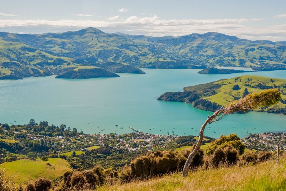 Akaroa Self-Guided Audio Tour - Experience Highlights