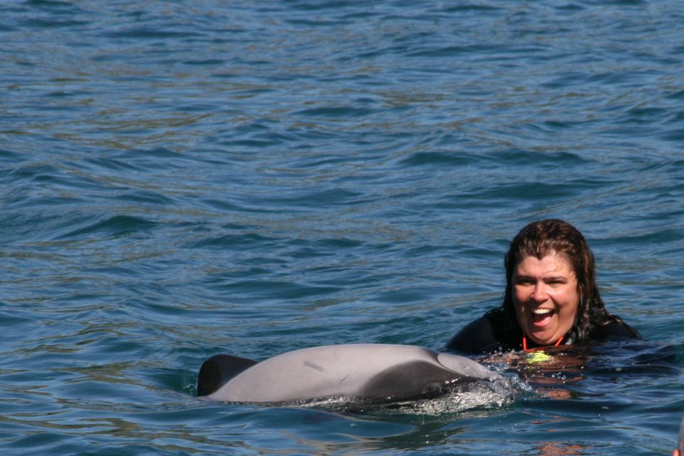 Akaroa: Swimming With Wild Dolphins 3-Hour Experience - Booking Flexibility Options