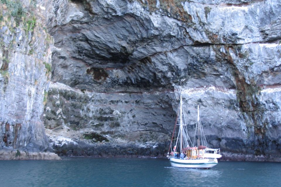 Akaroa: Wildlife Sailing Cruise With Dolphins and Penguins - Experience Highlights