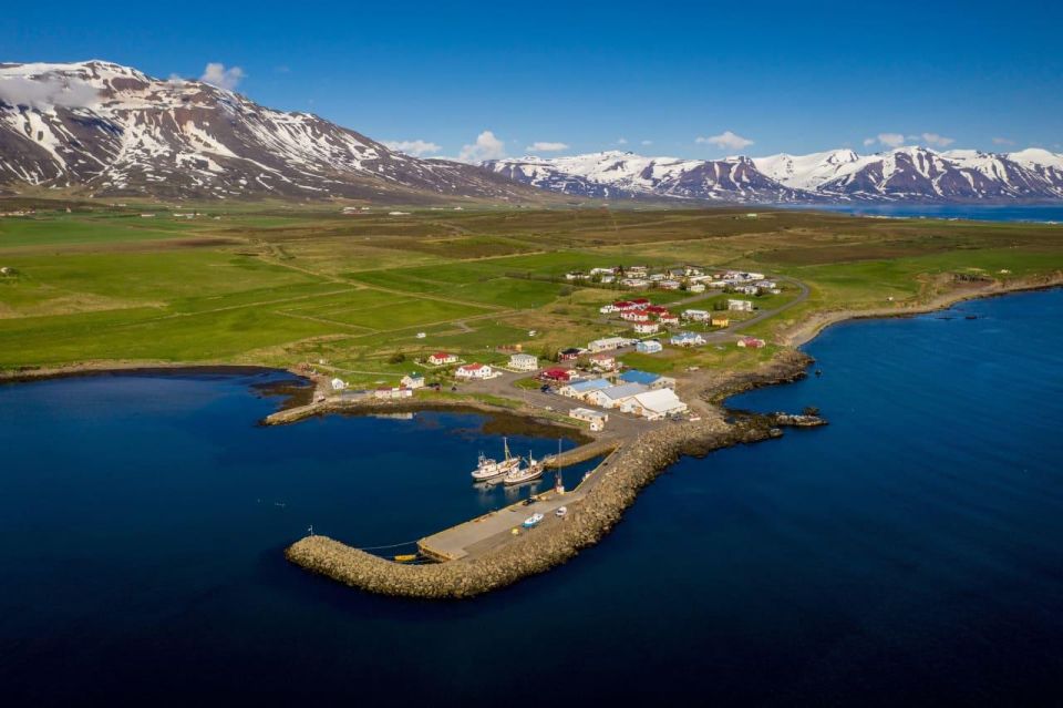 Akureyri: Arctic Coastline & Whale Watching - Experience