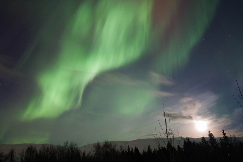 Akureyri: Northern Lights Tour in North Iceland - Experience Highlights and Inclusions