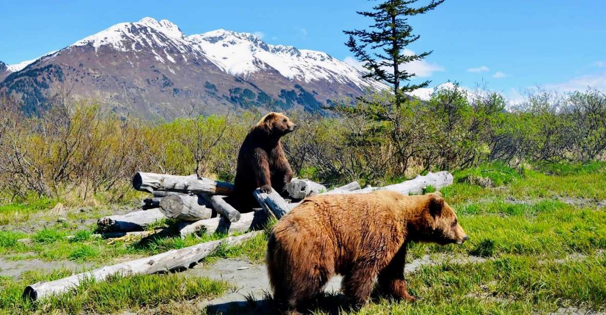 Alaska Wildlife Conservation Center: Admission Ticket - Experience Highlights