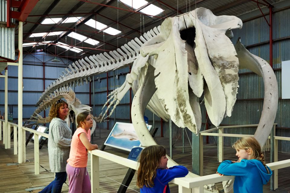 Albany: Albanys Historic Whaling Station Entry Ticket - Experience Highlights and Attractions