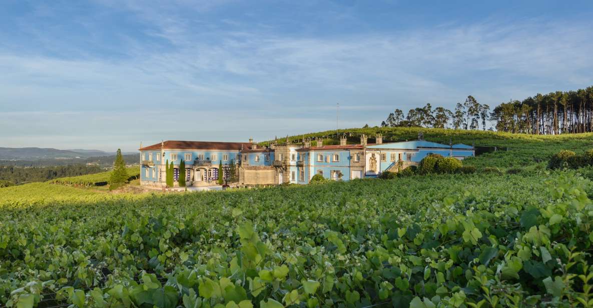 Albariño Wine Tasting With Winery Tour - Location and Provider