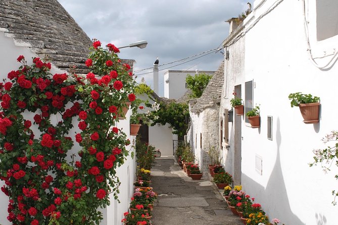 Alberobello With a Local Tour Guide!(Shared Tour Max.15 Pax) - Pricing and Booking