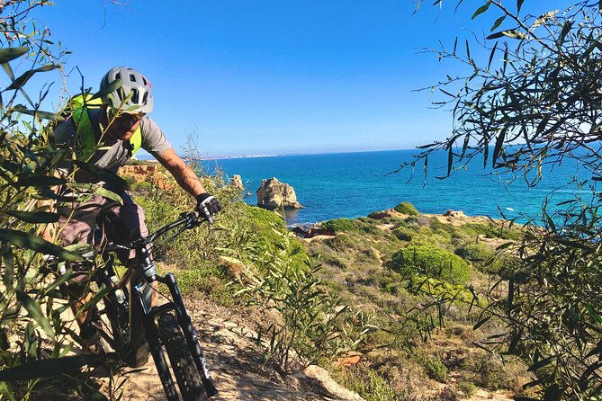 Albufeira Small-Group Mountain Biking Tour - What You Need to Know