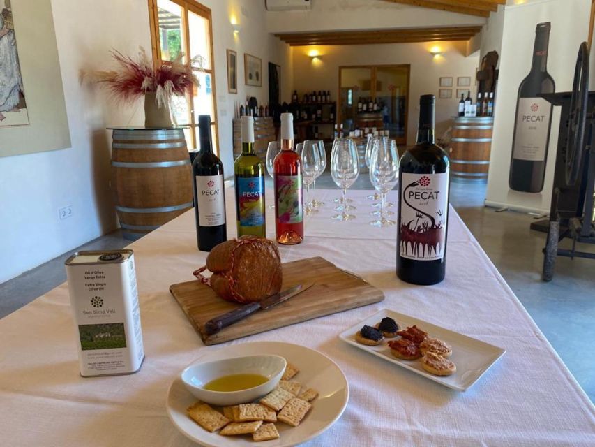 Alcudia: Vineyard Tour & Exclusive Wine Tasting Experience - Highlights of the Experience
