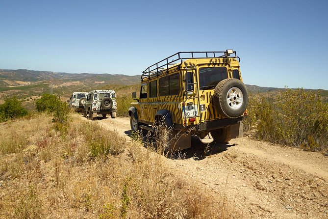 Algarve Flavours & Traditions - Market Visit and Wine Tour