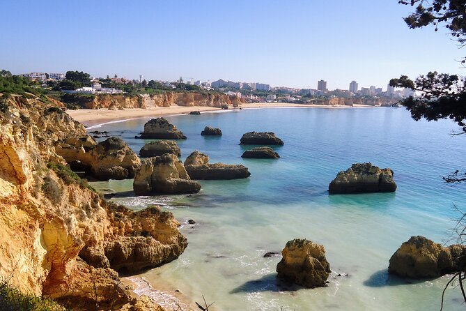 Algarve Private Tour With Typical Lunch - Inclusions