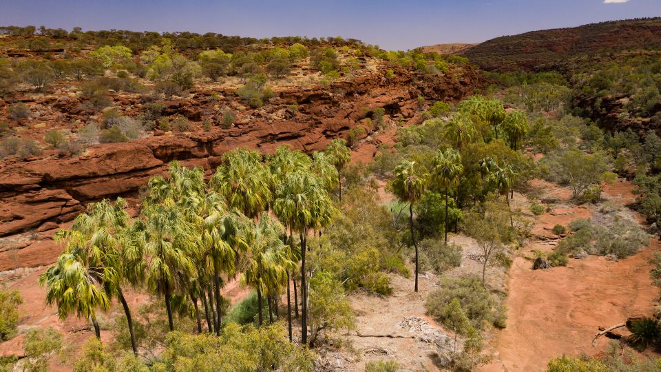 Alice Springs: 4WD Palm Valley Tour With Lunch - Booking Information