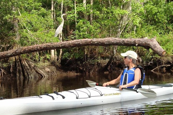 Amelia Island Area Kayak Rental on Lofton Creek With Adventures up the Creek - Logistics