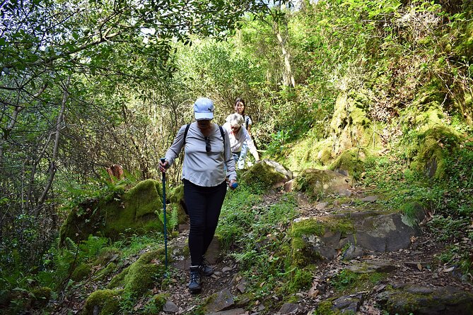 An Adventure Through the Schist Villages of Lousã (With Walk) - Local Cultural Immersion