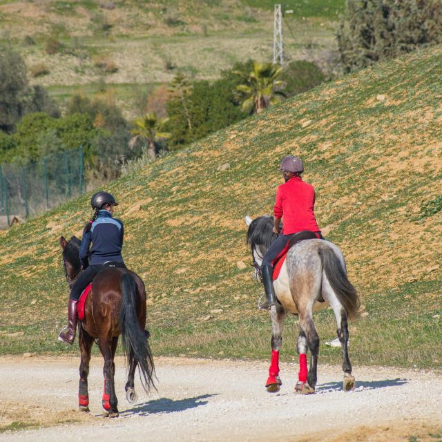 Andalucia: Horse Riding Tour With Picnic - Activity Details