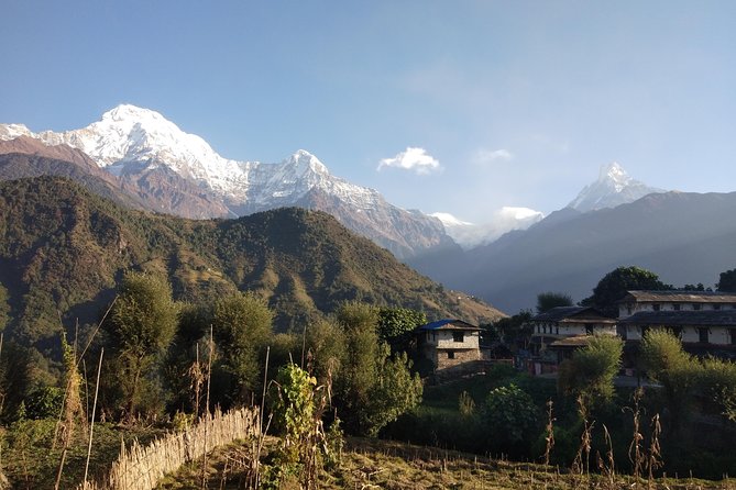 Annapurna Base Camp Private Guided Trek - Accommodation and Meals