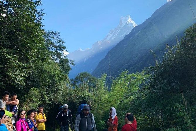 Annapurna Base Camp Trek 9 Days - Best Time to Visit