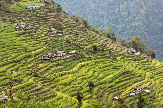 Annapurna Base Camp Trek-Abc Trekking Package - Itinerary Details and Highlights