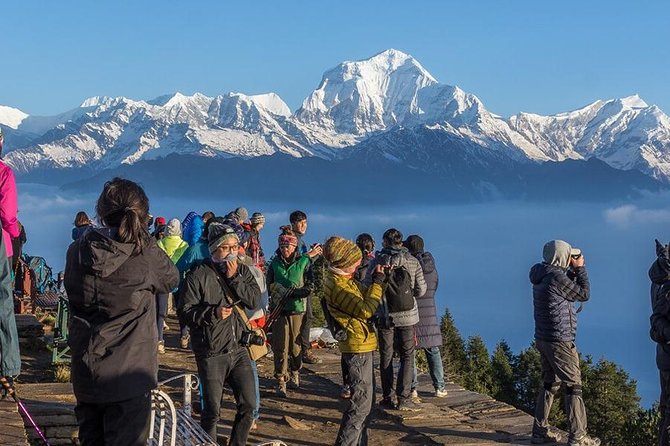 Annapurna Ghorepani Poon Hill Trek From Pokhara Short and Easy Hike in Himalaya - Pricing, Inclusions, and Options